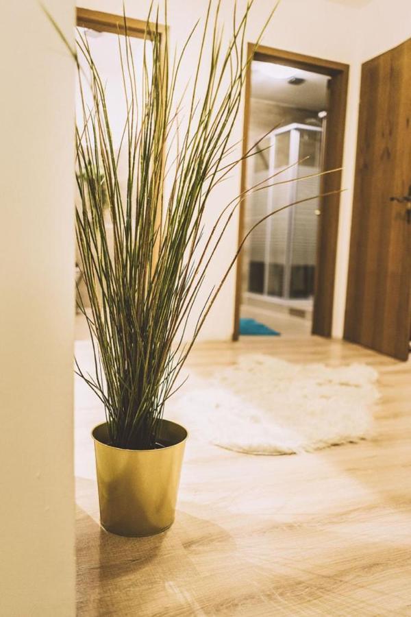 Ferienwohnung-Lenne-Finnentrop エクステリア 写真